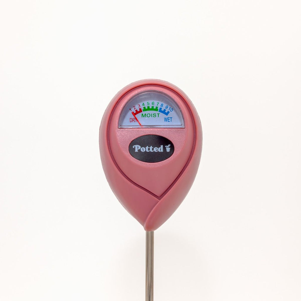 best soil moisture meter australia Indoor Moisture Meter – Sproutwell Greenhouses