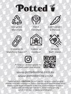 Florence Pot – Beachwood