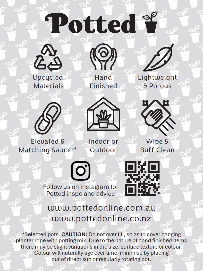 Florence Pot – Beachwood