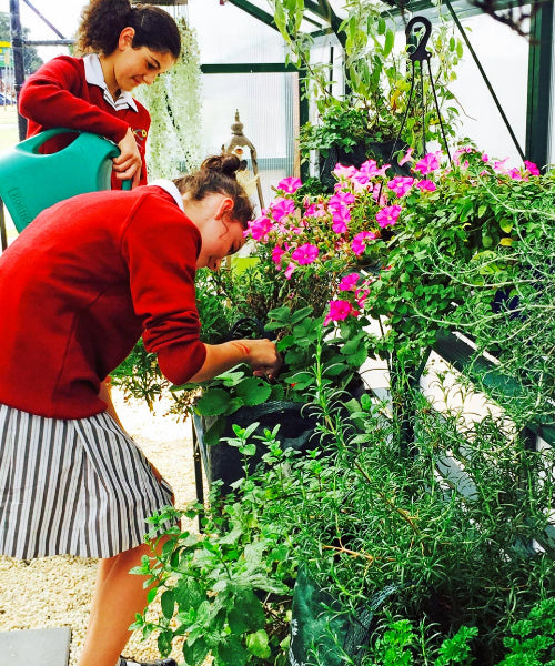 Let kids grow, learn & thrive with a Sproutwell™ Greenhouse
