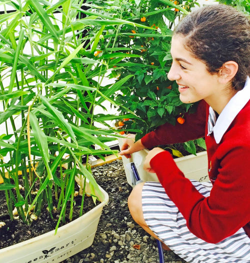 Promoting healthy eating in a fun environment