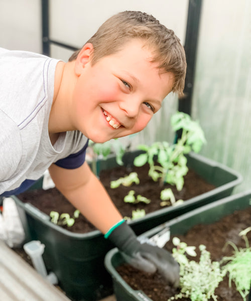 Why a Greenhouse for a Community Garden?