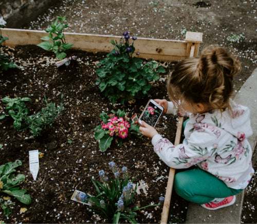 What is the cost of setting up a Greenhouse?