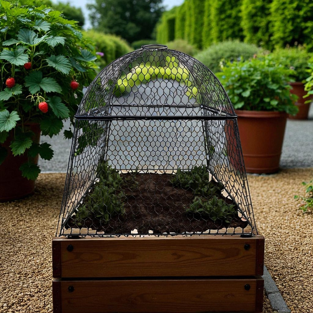 Square Style Cloche