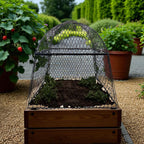 Square Style Cloche