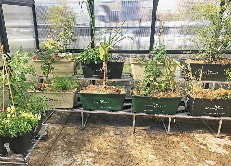 Tiered 1900L Galvanised Stand - Sproutwell Greenhouses