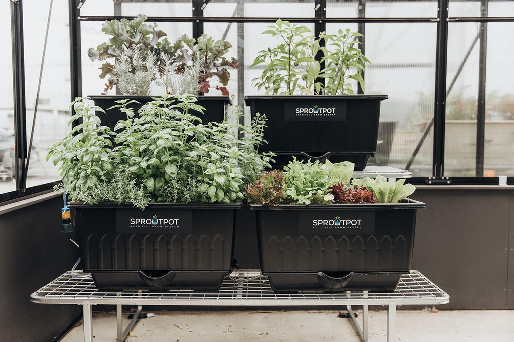 SproutPot- Single - Sproutwell Greenhouses