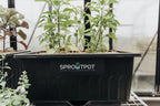 SproutPot- Single - Sproutwell Greenhouses