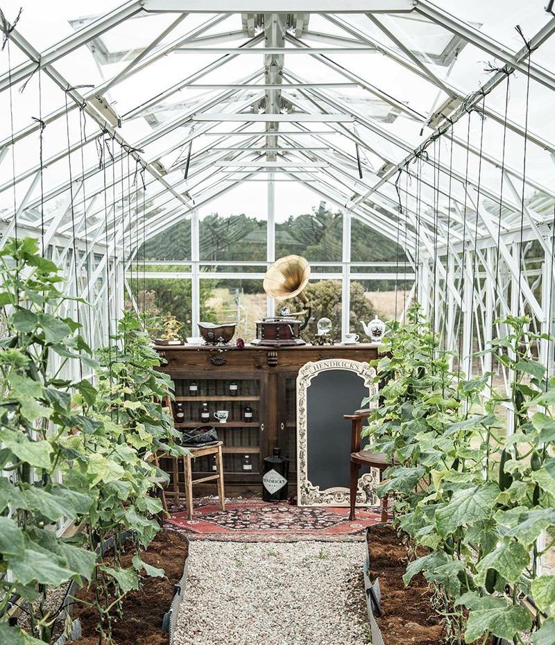 Imperial Glass – 4420 Model - Sproutwell Greenhouses