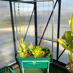 Climber Stand