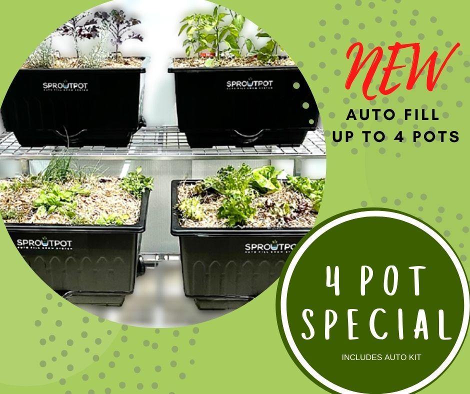 4 SPROUT POT Special $320 - Sproutwell Greenhouses