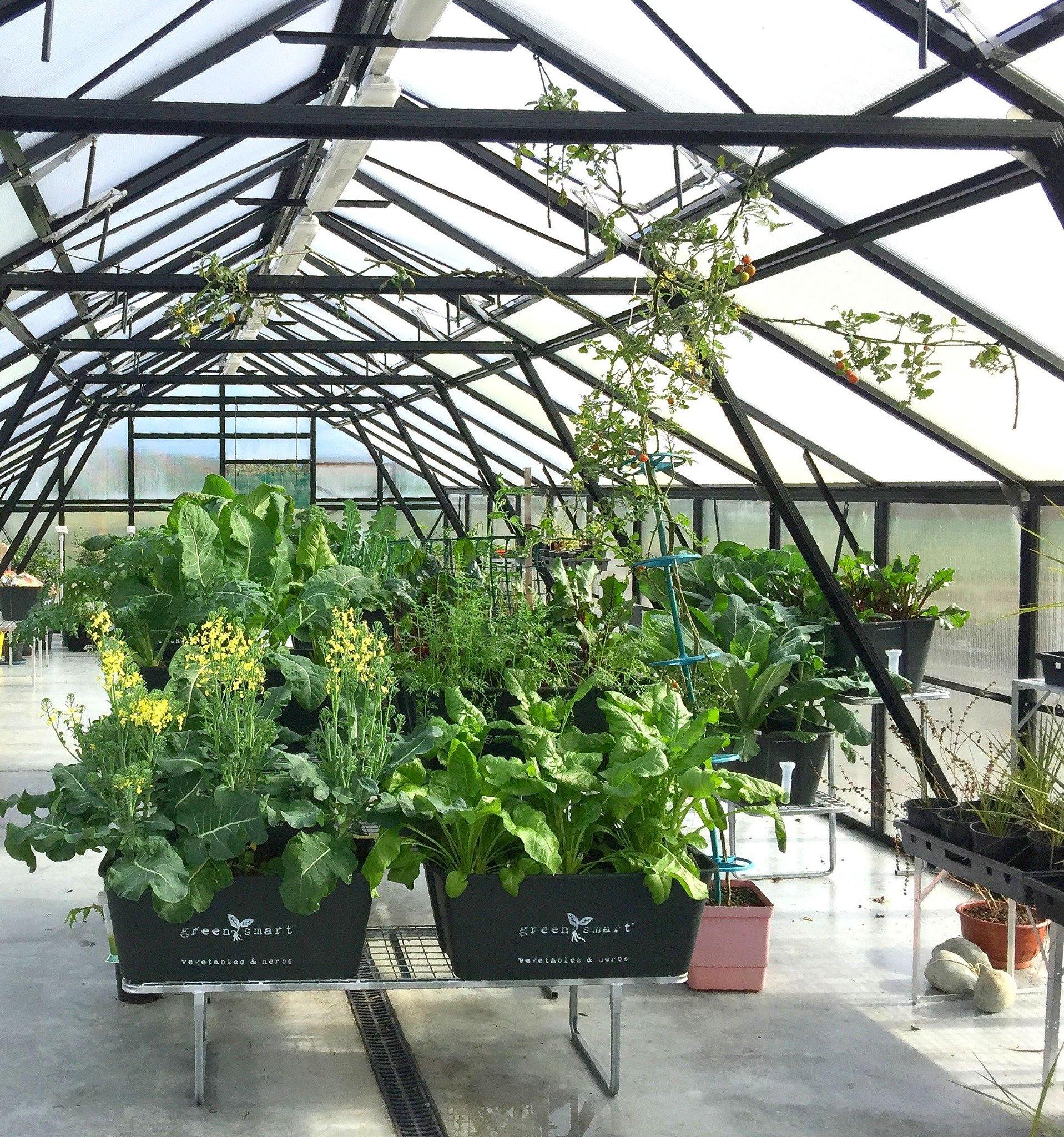 4 Pot Galvanised Stand - Sproutwell Greenhouses