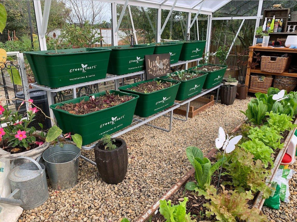 4 Pot Galvanised Stand - Sproutwell Greenhouses