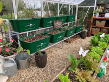 Load image into Gallery viewer, 4 Pot Galvanised Stand - Sproutwell Greenhouses
