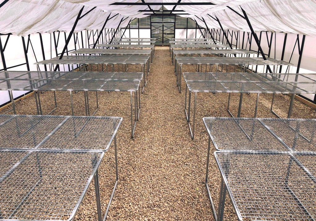 Customised Galvanised Stands - Sproutwell Greenhouses
