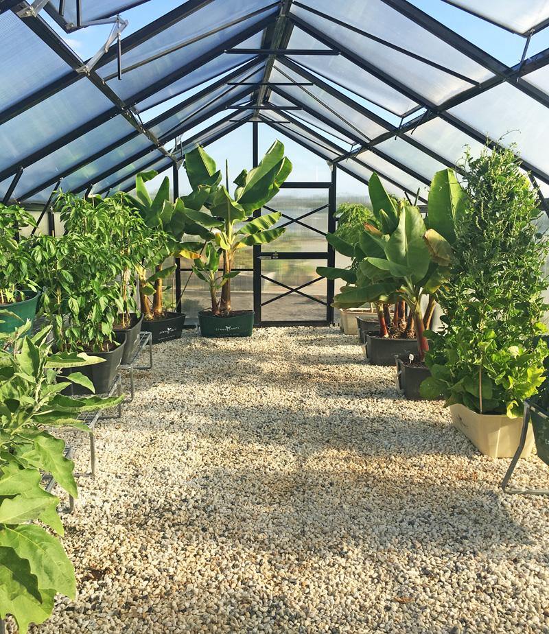 Grange-4 12000 - Sproutwell Greenhouses