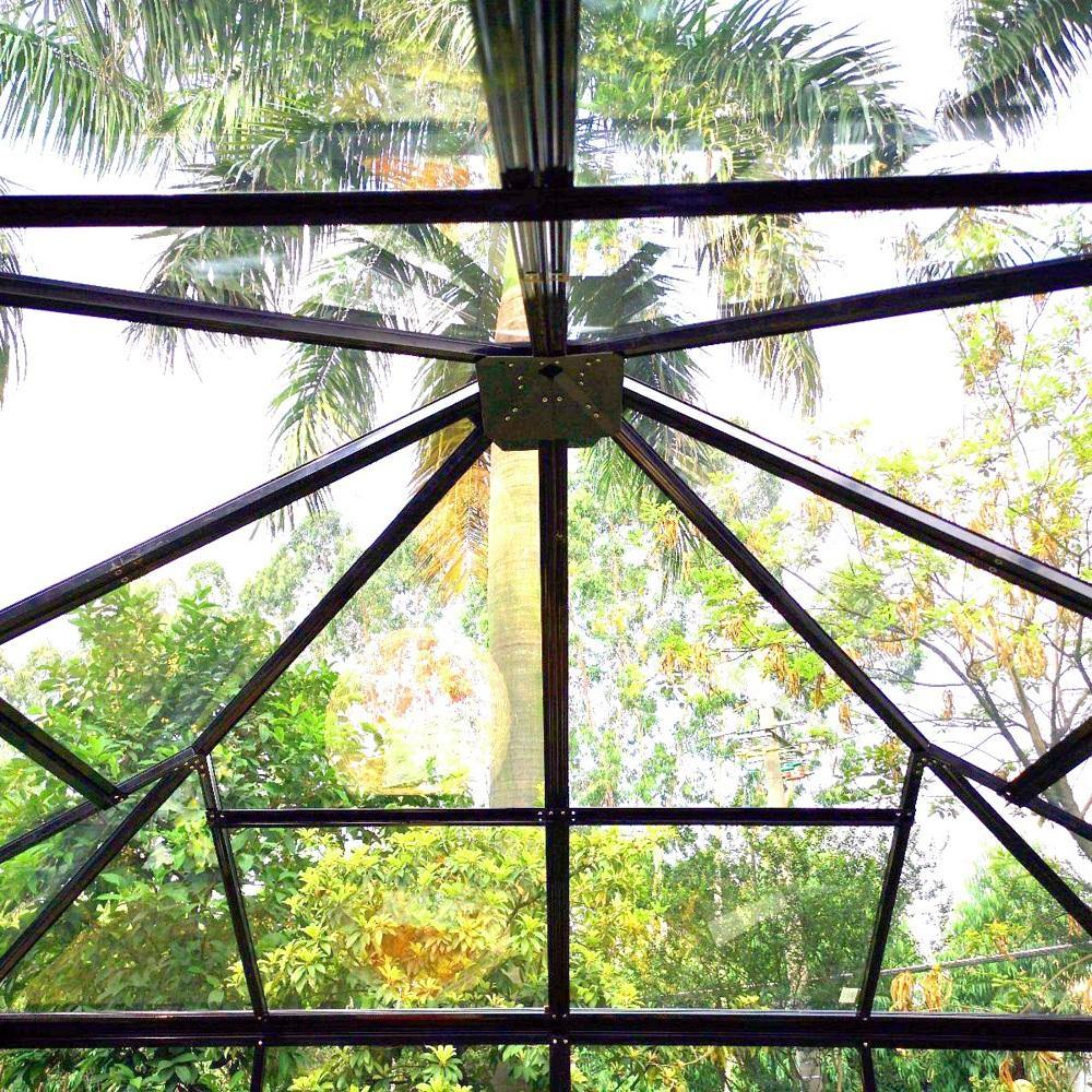 Backyard Oasis - Sproutwell Greenhouses