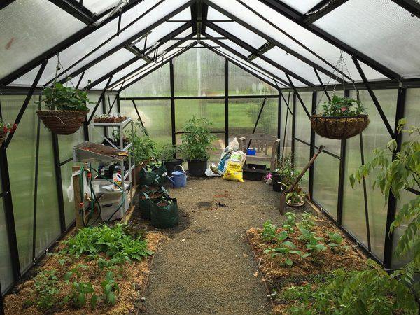 Grange-3 14000 - Sproutwell Greenhouses