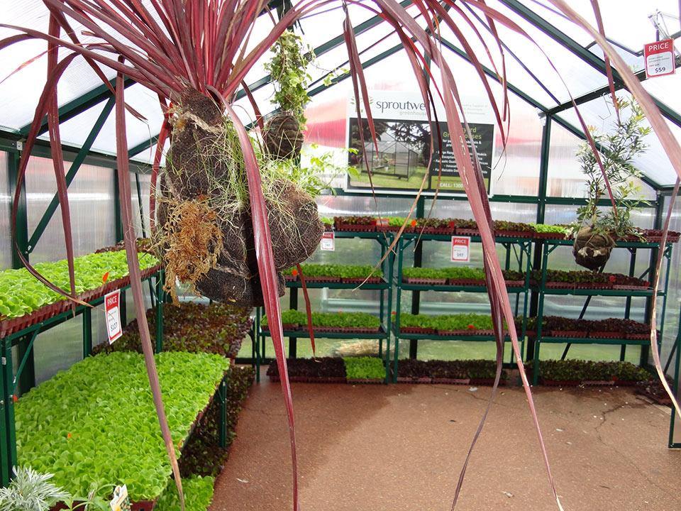Grange-4 9000 - Sproutwell Greenhouses