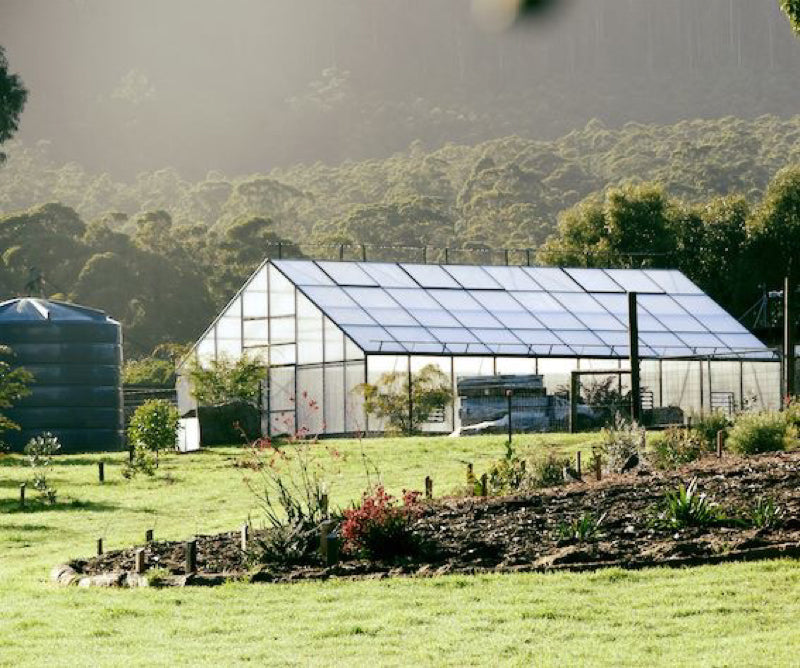 Grange-7 Greenhouse 4000 (7m x 4m)