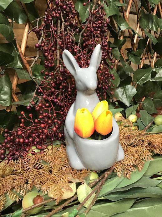 *Ceramic Kangaroo Planter - Sproutwell Greenhouses