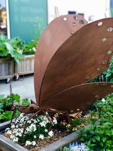 *Large Butterfly Sculpture - Sproutwell Greenhouses