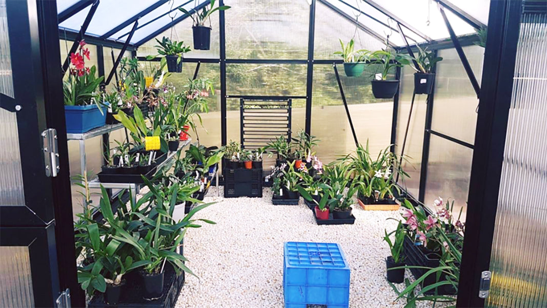 Grange-3 Greenhouse 3000  (3m x 3m)