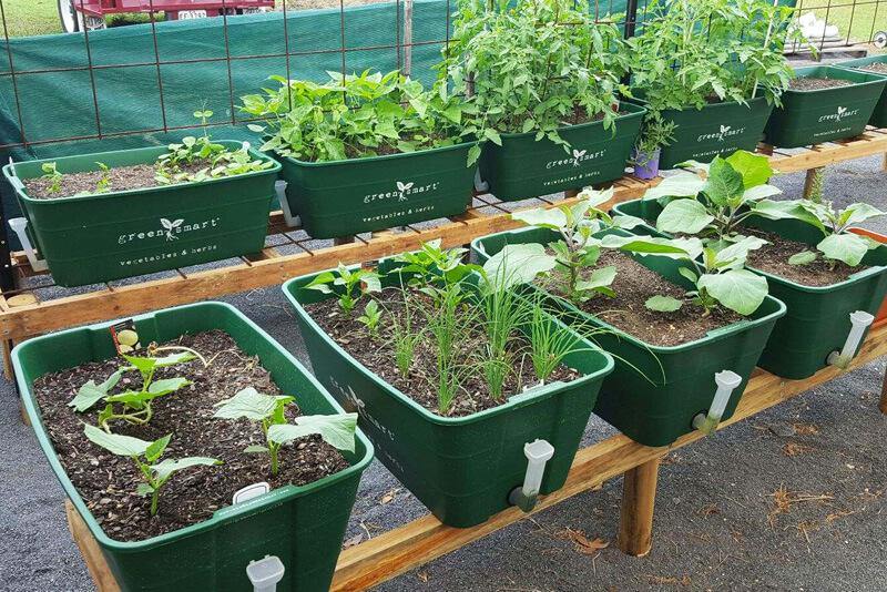 GreenSmart Pot- LARGE - Sproutwell Greenhouses