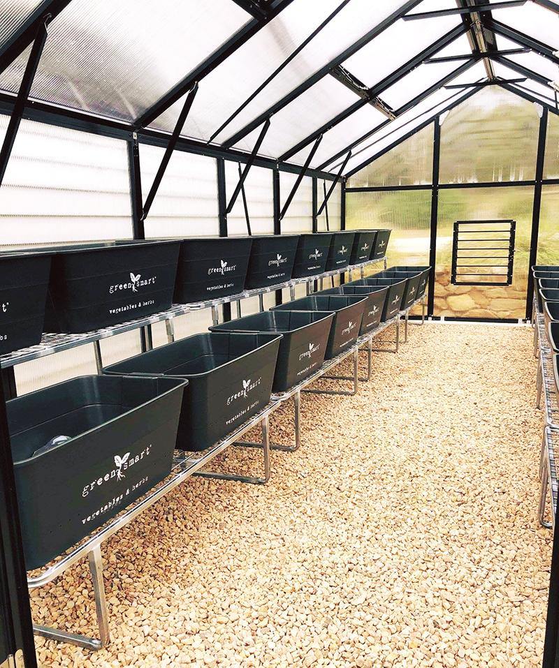 4 Pot Galvanised Stand - Sproutwell Greenhouses