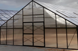 Grange-7 Greenhouse 8000 (7m x 8m)