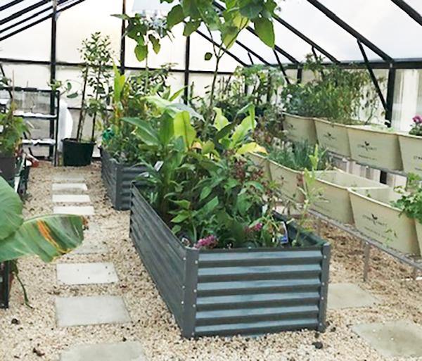 1900 Raised Garden Bed - Sproutwell Greenhouses