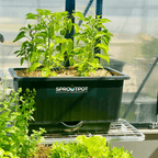4 SPROUT POT Special $320 - Sproutwell Greenhouses