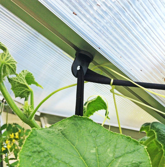 Plant Hangers- Garden Pro/Grange - Sproutwell Greenhouses