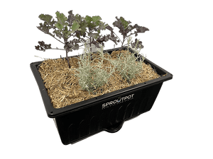 SproutPot- Single - Sproutwell Greenhouses