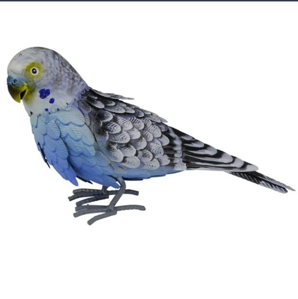 *DC* Budgie - Sproutwell Greenhouses
