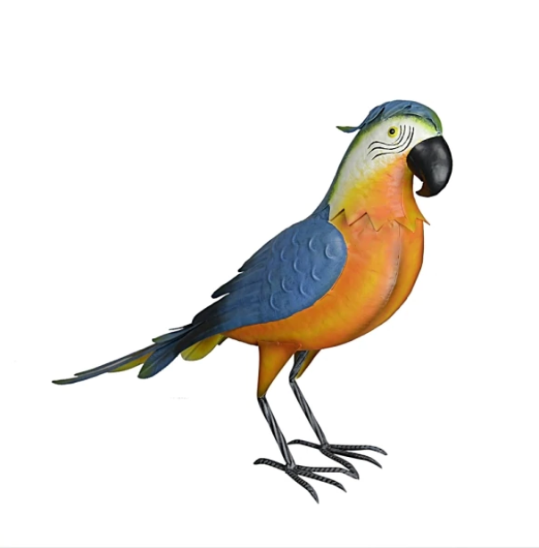 *DC* Blue & Orange Parrot - Sproutwell Greenhouses