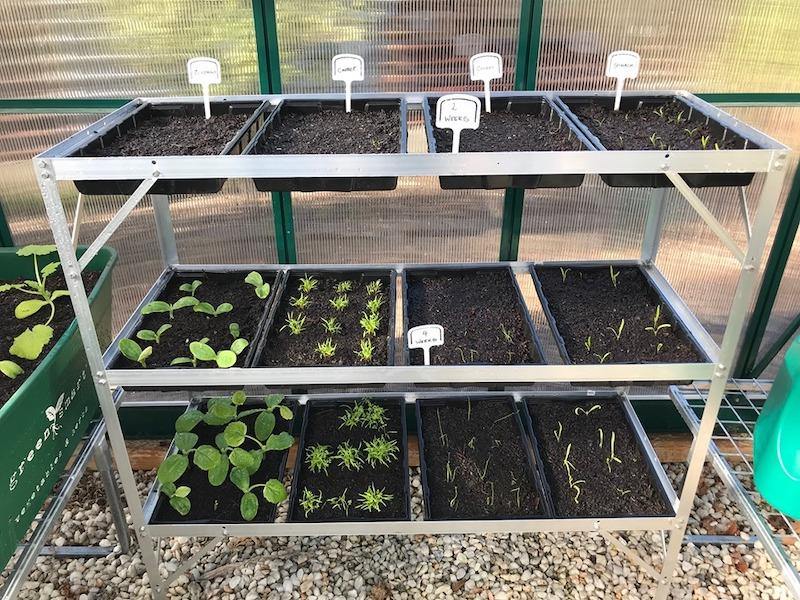 Seed Tray Stand - Sproutwell Greenhouses