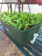 GreenSmart Pot- LARGE - Sproutwell Greenhouses