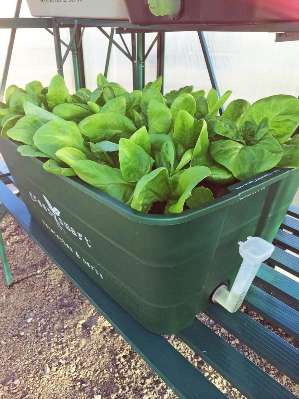 GreenSmart Pot- LARGE - Sproutwell Greenhouses