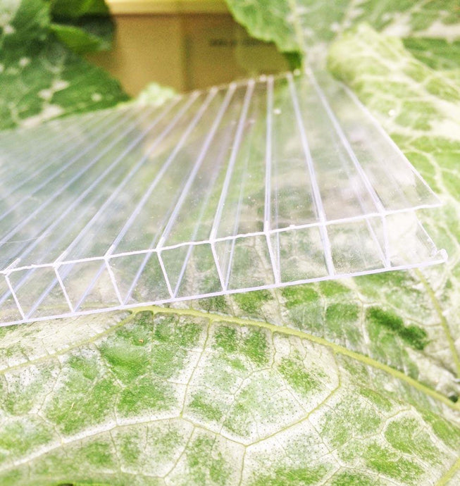 10mm Polycarbonate- Per Sqm - Sproutwell Greenhouses