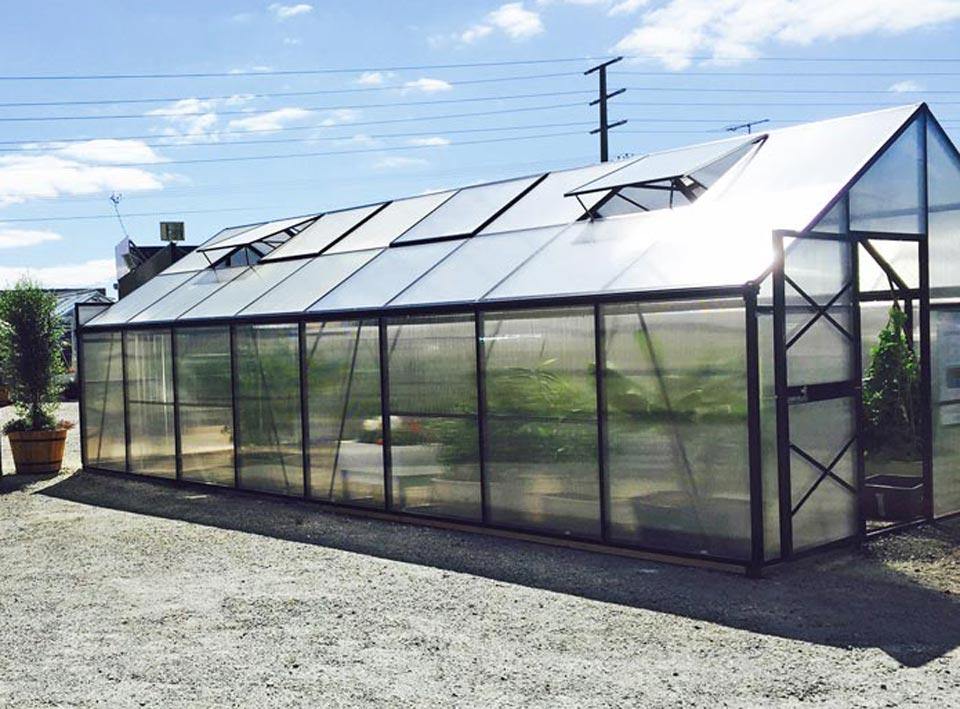 Grange-4 12000 - Sproutwell Greenhouses