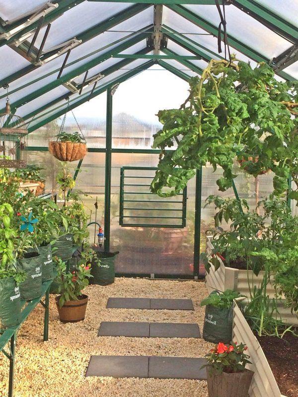 Grange-3 4000 - Sproutwell Greenhouses