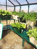 3100/3180 Staging Kit - Sproutwell Greenhouses
