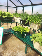 1200 Stand - Sproutwell Greenhouses