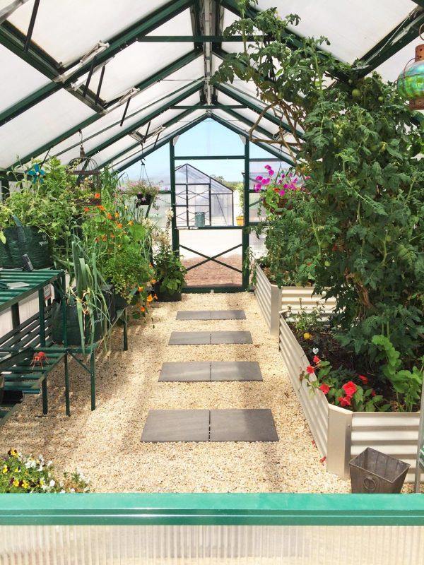 Grange-3 6000 - Sproutwell Greenhouses