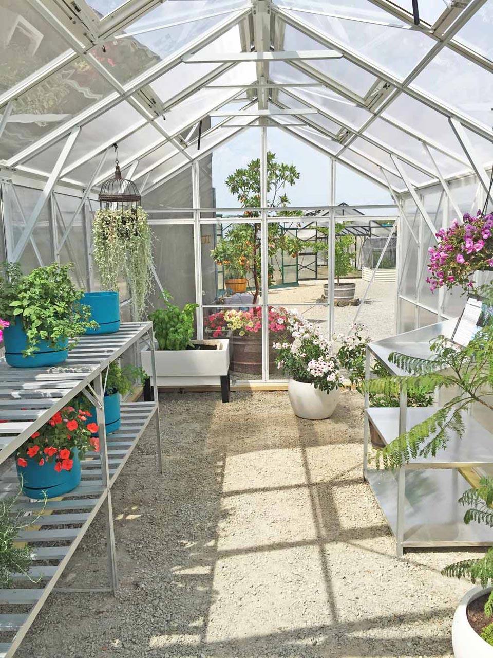 Imperial Glass – 4420 Model - Sproutwell Greenhouses