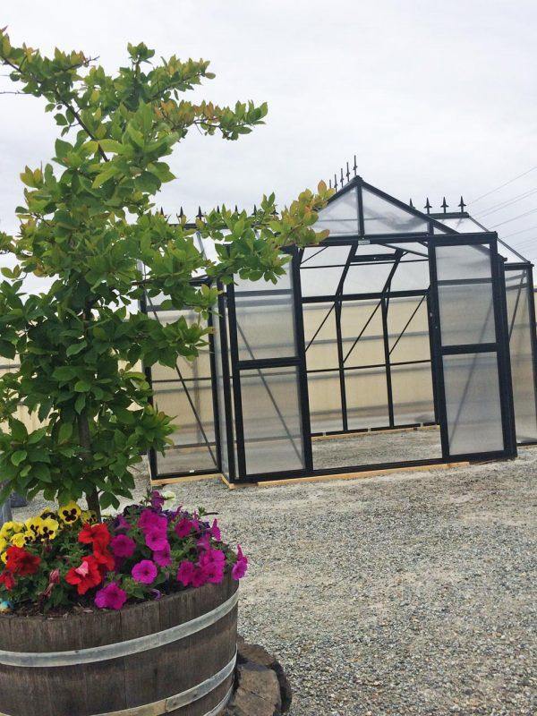 Orangery Deluxe - Sproutwell Greenhouses