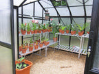 Orangery Grandure - Sproutwell Greenhouses
