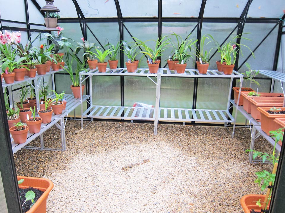 Orangery Compact Greenhouse (3.2m x 3.7m)