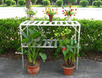 5000 (Narrow) Staging Kit - Sproutwell Greenhouses